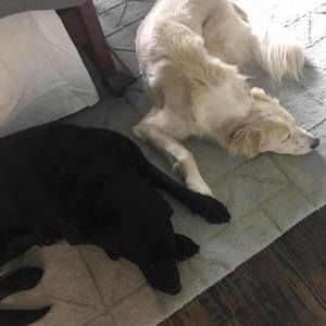 Meet your Posher, Maura